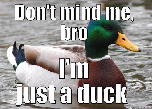 DON'T MIND ME, BRO I'M JUST A DUCK  Actual Advice Mallard