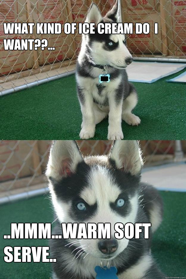 What kind of ice cream do  i want??... ..mmm...warm soft serve..  Insanity puppy
