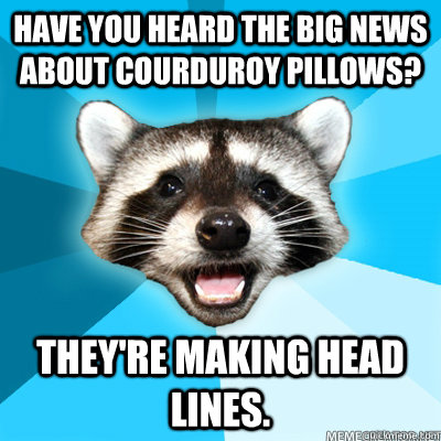Have you heard the big news about courduroy pillows? they're making head lines.  Lame Pun Raccoon