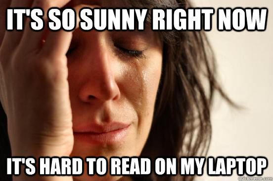 It's so sunny right now It's hard to read on my laptop  First World Problems