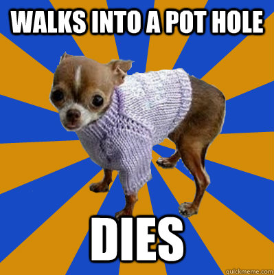 walks into a pot hole dies  Feeble Chihuahua