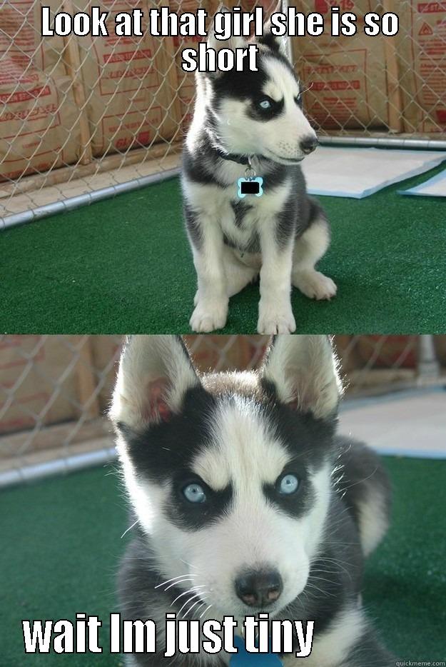 LOOK AT THAT GIRL SHE IS SO SHORT WAIT IM JUST TINY              Insanity puppy