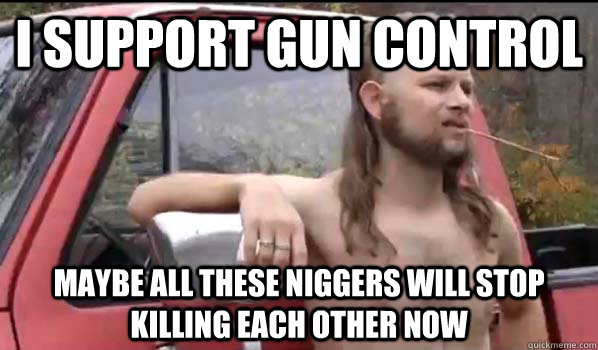 I support gun control Maybe all these niggers will stop killing each other now  Almost Politically Correct Redneck
