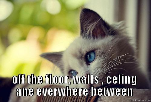  OFF THE FLOOR, WALLS , CELING ANE EVERWHERE BETWEEN First World Problems Cat
