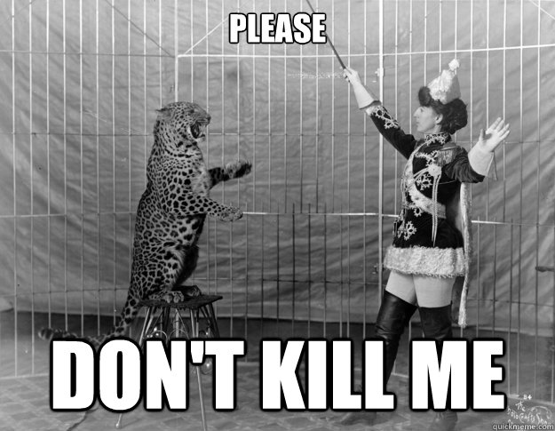 please don't kill me - please don't kill me  Original LOLCAT