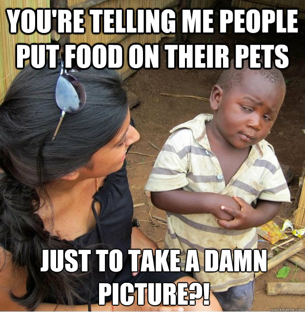 You're telling me people put food on their pets just to take a damn picture?!  Skeptical Third World Kid