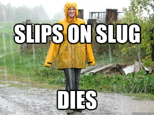 slips on slug Dies - slips on slug Dies  Misc