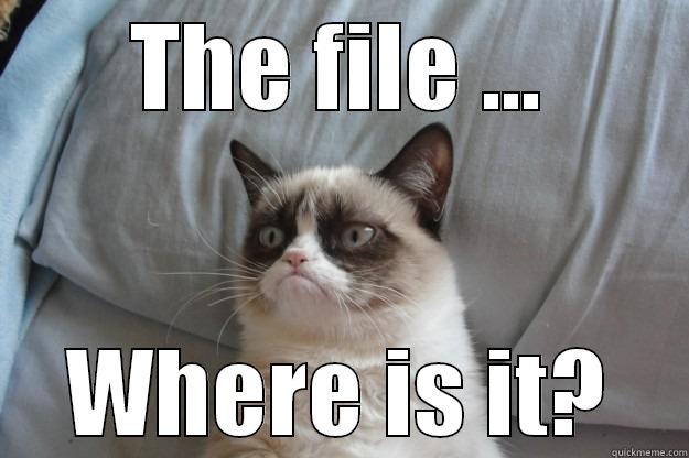 THE FILE ... WHERE IS IT? Grumpy Cat