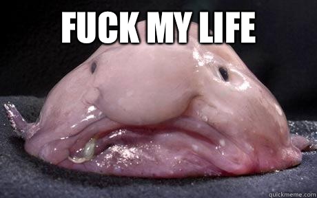 Fuck my life   