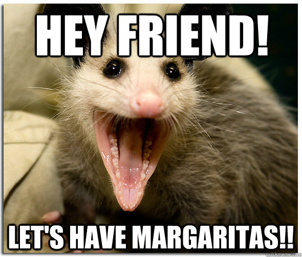 Hey Friend! let's have margaritas!!  Awesome Possum