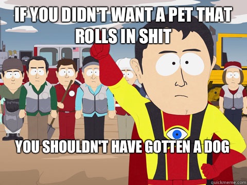 If you didn't want a pet that rolls in shit you shouldn't have gotten a dog  Captain Hindsight