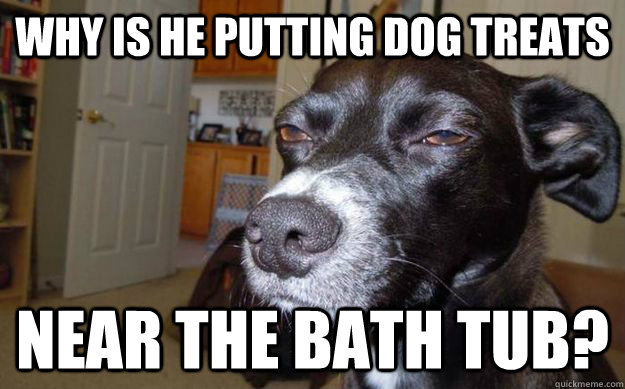 Why is he putting dog treats near the bath tub? - Why is he putting dog treats near the bath tub?  Skeptical Mutt