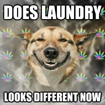 Does Laundry Looks Different now  Stoner Dog