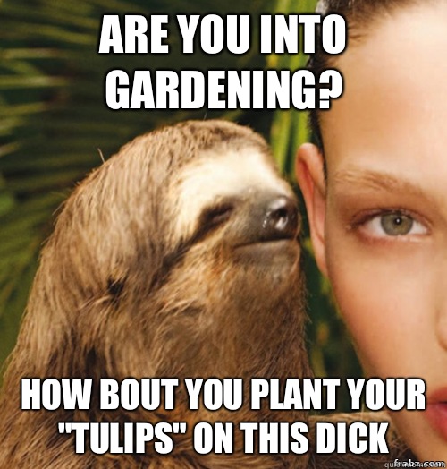 My Tulips You Dick 107