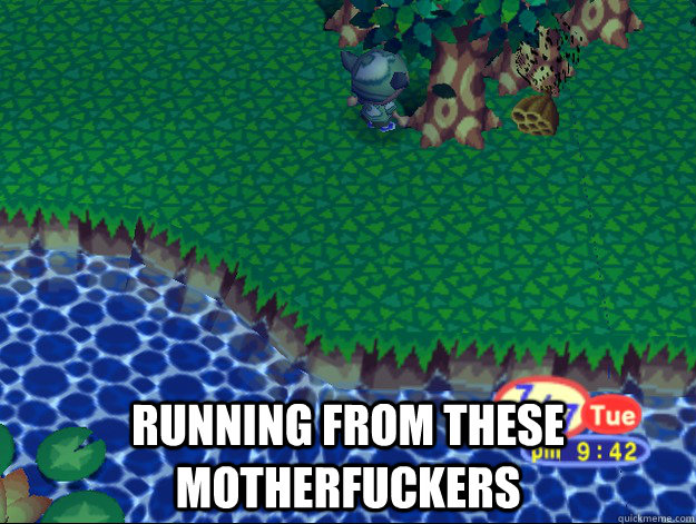  running from these motherfuckers  Animal Crossing Bees