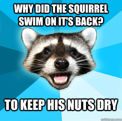 Why did the squirrel swim on it's back? to keep his nuts dry  Lame Pun Coon