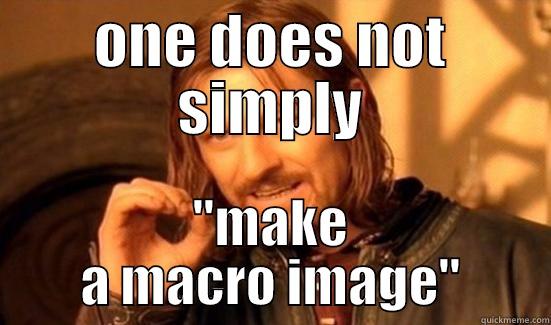 ONE DOES NOT SIMPLY 