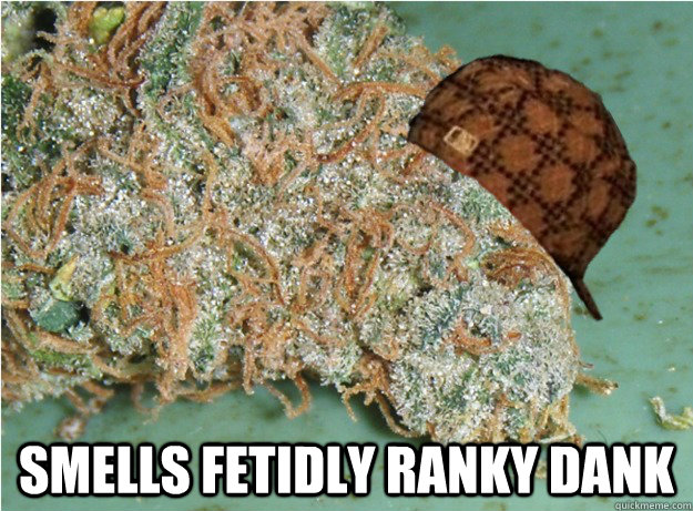  smells fetidly ranky dank  scumbag dank weed