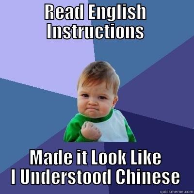 READ ENGLISH INSTRUCTIONS MADE IT LOOK LIKE I UNDERSTOOD CHINESE Success Kid