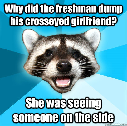Why did the freshman dump his crosseyed girlfriend? She was seeing someone on the side  Lame Pun Coon