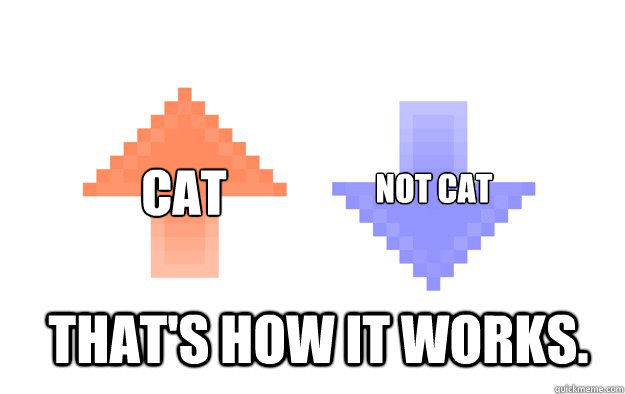 That's how it works. CAT NOT CAT  