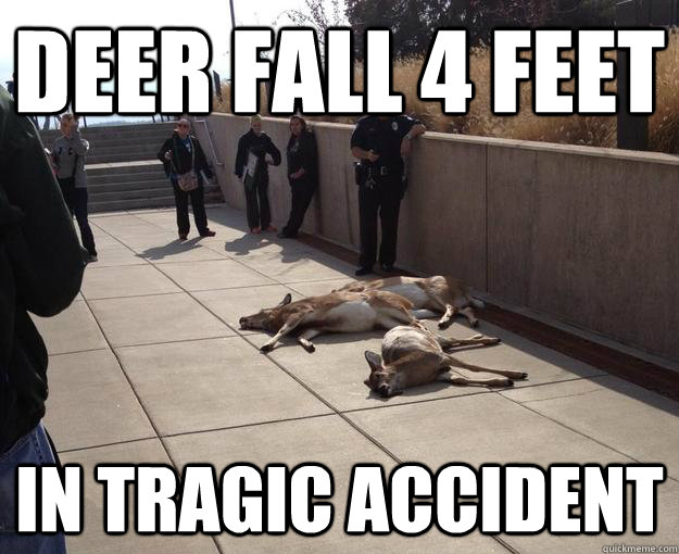 Deer Fall 4 Feet In TRAGIC ACCIDENT - Deer Fall 4 Feet In TRAGIC ACCIDENT  Misc