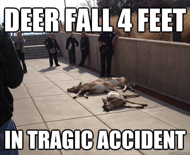 Deer Fall 4 Feet In TRAGIC ACCIDENT - Deer Fall 4 Feet In TRAGIC ACCIDENT  Misc