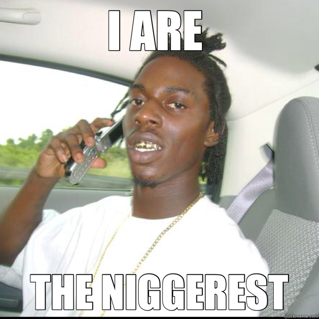 I ARE  THE NIGGEREST  