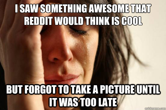 I saw something awesome that reddit would think is cool but forgot to take a picture until it was too late  First World Problems