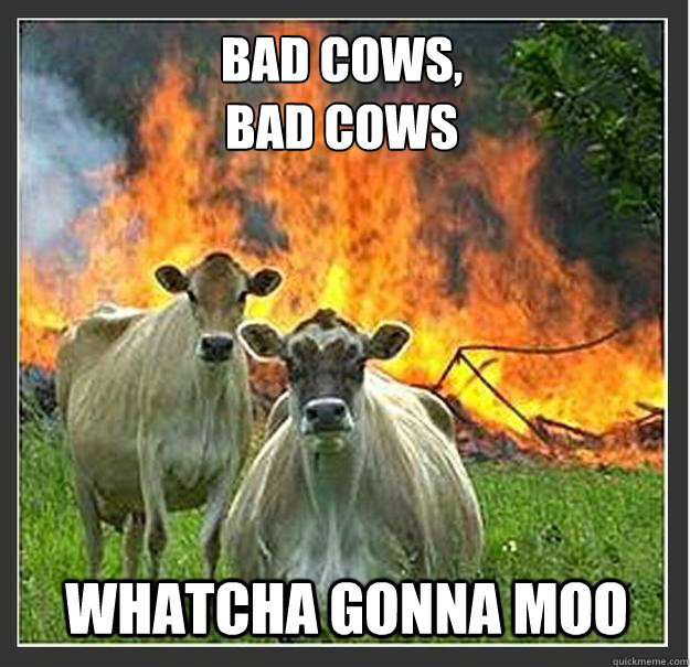 BAD COWS,
BAD COWS WHATCHA GONNA MOO - BAD COWS,
BAD COWS WHATCHA GONNA MOO  Evil cows