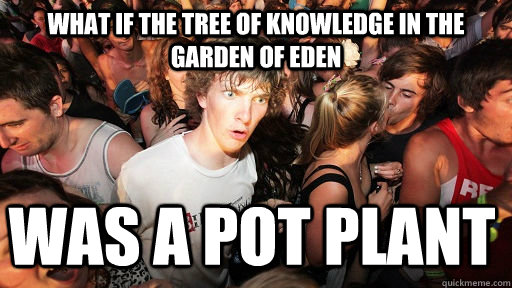 what if the tree of knowledge in the garden of eden  was a pot plant   Sudden Clarity Clarence