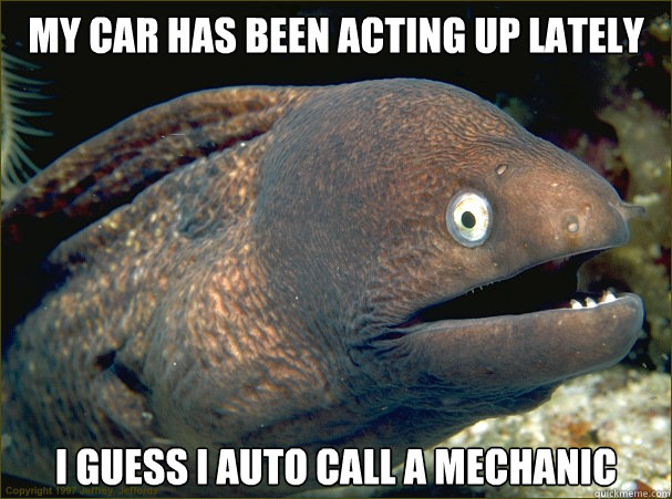 My car has been acting up lately I guess I auto call a mechanic  Bad Joke Eel