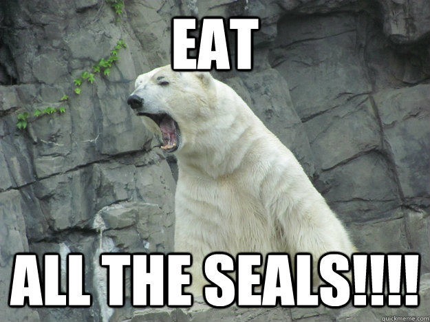 Eat All the seals!!!!  Pissed Off Polar Bear