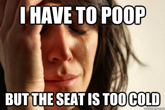 I have to poop But the seat is too cold  First World Problems