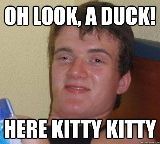 Oh look, a duck! here kitty kitty  Really High Guy