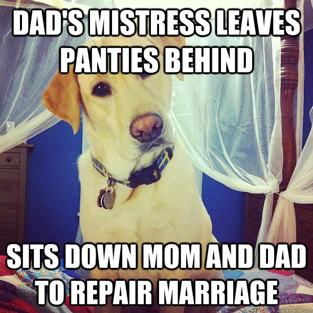 dad's mistress leaves panties behind sits down mom and dad to repair marriage  Therapist Dog