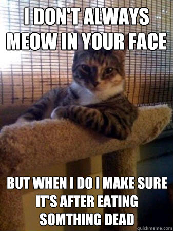 i don't always meow in your face but when i do i make sure it's after eating somthing dead  The Most Interesting Cat in the World