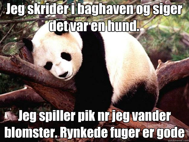 Jeg skrider i baghaven og siger det var en hund. Jeg spiller pik når jeg vander blomster. Rynkede fuger er gode  Procrastination Panda