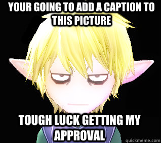 Your going to add a caption to this picture tough luck getting my approval  Angry Elf
