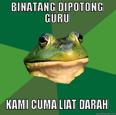 BINATANG DIPOTONG GURU KAMI CUMA LIAT DARAH Foul Bachelor Frog