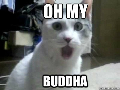 OH MY BUDDHA - OH MY BUDDHA  OMG meme