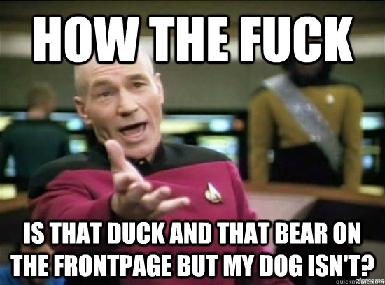how the fuck is that duck and that bear on the frontpage but my dog isn't?  Annoyed Picard HD