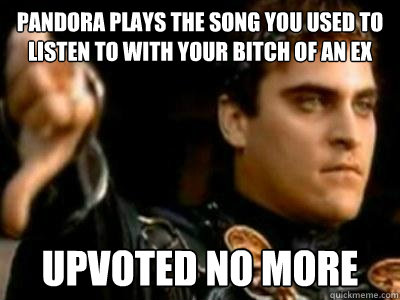 PANDORA PLAYS THE SONG YOU USED TO LISTEN TO WITH YOUR BITCH OF AN EX UPVOTED NO MORE  Downvoting Roman