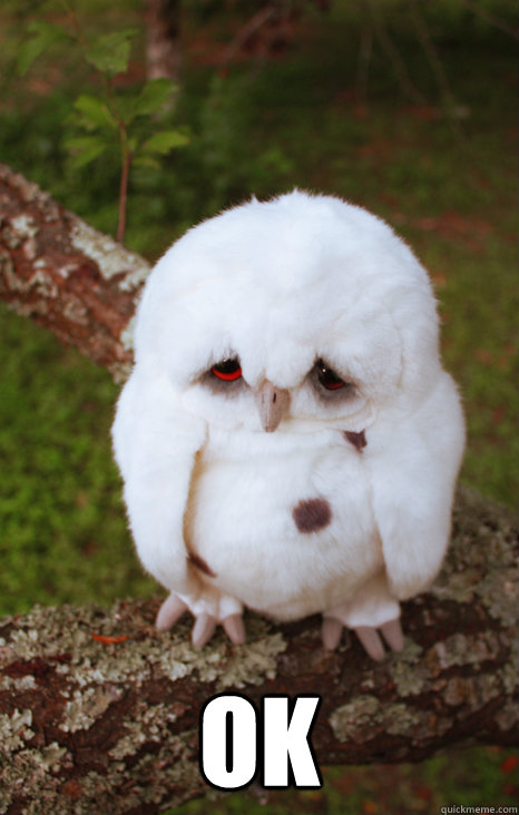 ok - ok  sad accepting owl