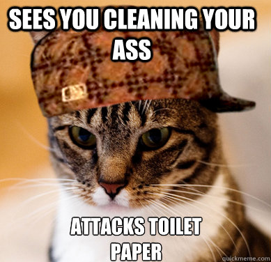 Sees you cleaning your ass Attacks toilet paper  Scumbag Cat