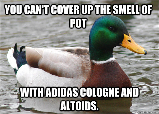 You can't cover up the smell of pot with adidas cologne and Altoids.  Actual Advice Mallard