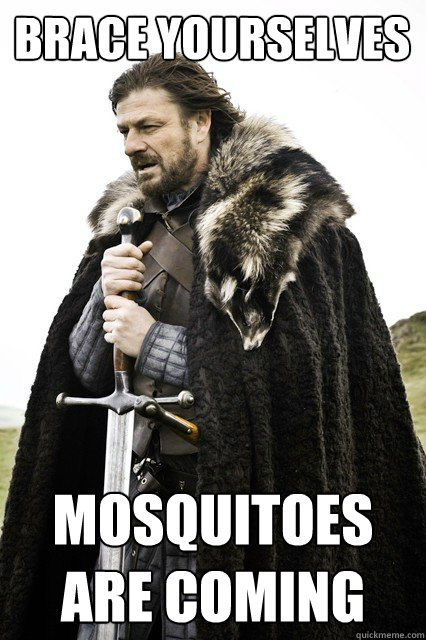Brace yourselves mosquitoes are coming
  Brace yourself school