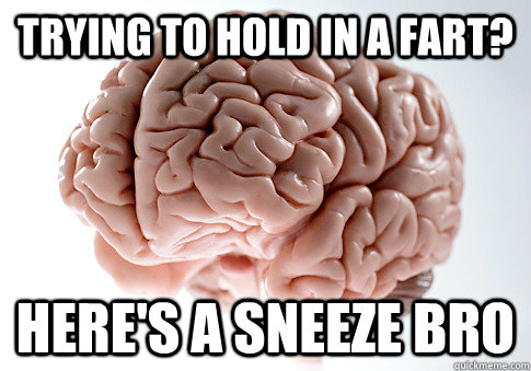 Trying to hold in a fart? Here's a sneeze bro  Scumbag Brain