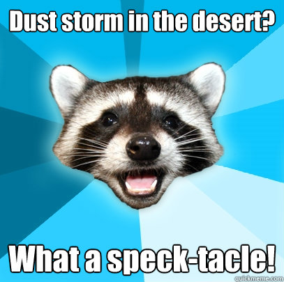 Dust storm in the desert? What a speck-tacle!  Lame Pun Coon