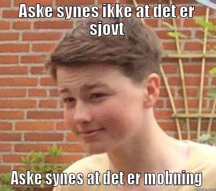 ASKE SYNES IKKE AT DET ER SJOVT ASKE SYNES AT DET ER MOBNING Misc